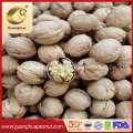 Factory Sale Walnut in Shell 185 /Paper Shell Pure 32mm up New Crop